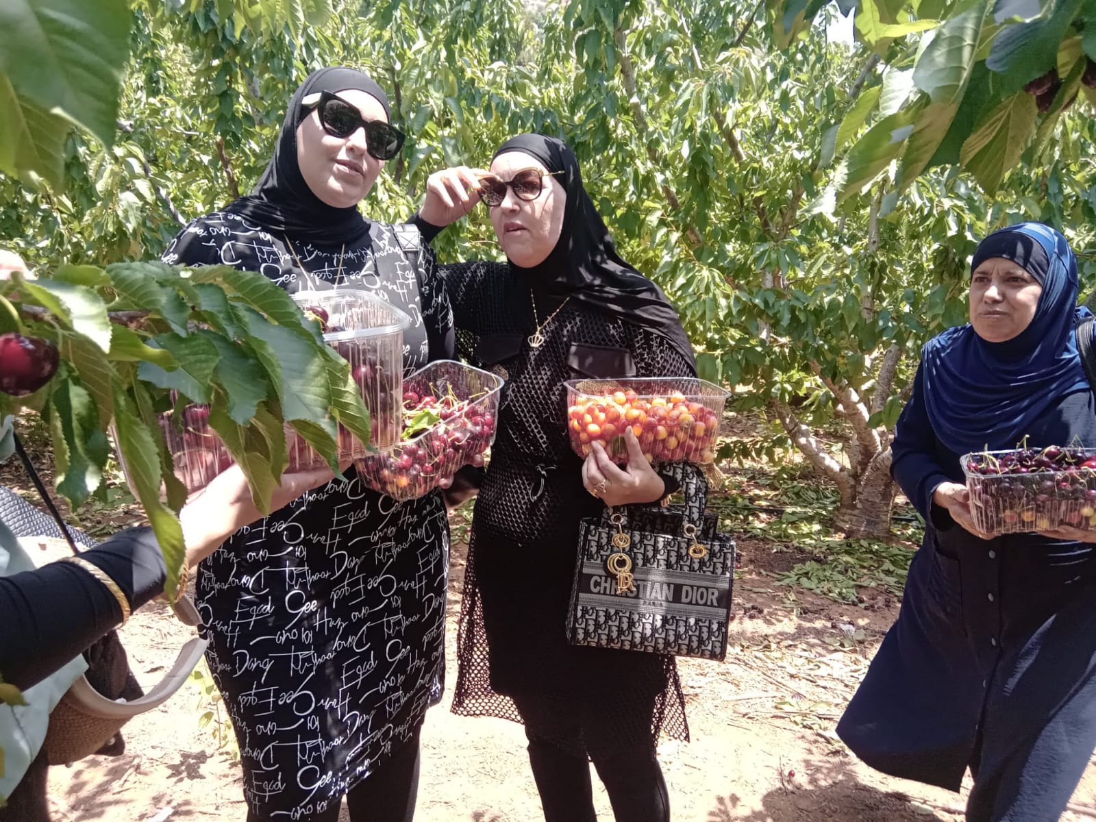 WhatsApp Image 2022-06-26 at 3.29.46 PM (1).jpeg